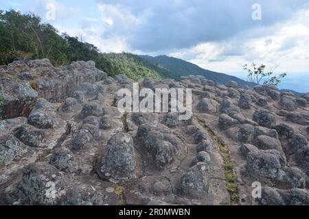 Lan hin Pum Pum [Knötchen Rock Feld] im Phu Hin Rong Kla Nationalparks in Thailand. Stockfoto