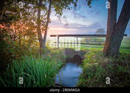 Die Brücke führt in Morgenstimmung über einen kleinen Bach auf der Weide Stockfoto