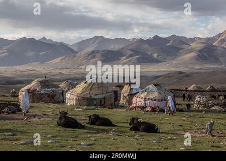 Kirgisische Jurtensiedlungen mit Yaks in den Pamir-Bergen, Moqur, Afghanistan Stockfoto