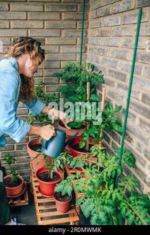 Frau, die eine Gießkanne mit Pflanzen des städtischen Gartens auf der Terrasse benutzt Stockfoto