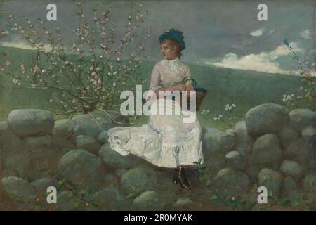 Pfirsichblüten Datum: 1878 Künstler: Winslow Homer American, 1836–1910 Stockfoto