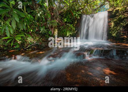 Eine wunderschöne Landschaft, geformt durch einen Wasserfall mit Wasserfluss, Fluss und umgeben von Bäumen und grüner Vegetation in der Mitte des Waldes. Stockfoto