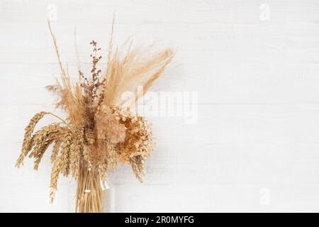 Wunderschöne dekorative getrocknete Blumen, Pampasgras, Stachelrochen in einer stilvollen transparenten Vase an weißen rustikalen Holzwänden. Einfaches, elegantes Zuhause Stockfoto