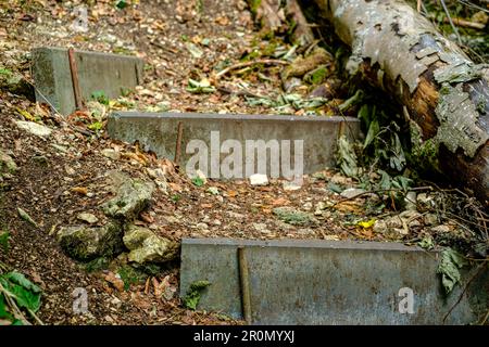 Steintreppen auf einem Wanderweg in einer bewaldeten Gegend, Schwäbische Alb, Deutschland. Stockfoto