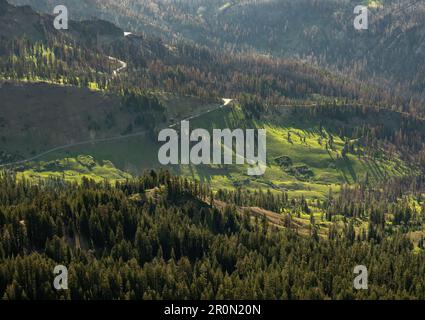 Lassen Park Road schleicht im Sommer durch Pines und Meadow Stockfoto