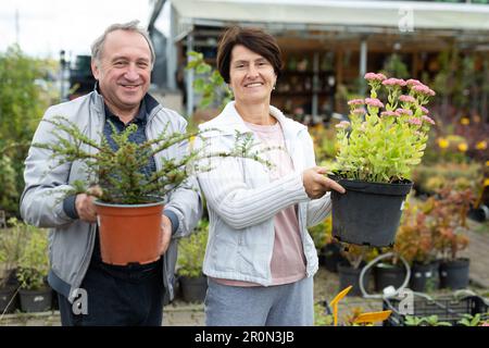 Positives reifes Paar in lässiger Kleidung, das Pflanzen und Sträucher in Töpfen auswählt, während es im Gartencenter einkauft Stockfoto