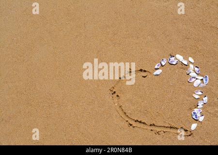 Herz aus wunderschönen Muscheln auf nassem Sand. Platz für Text Stockfoto