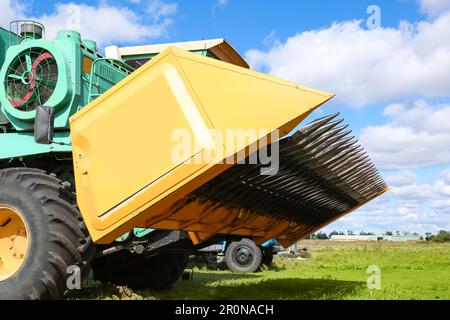 Moderner Mähdrescher auf grünem Rasen mit frischem Gras Stockfoto