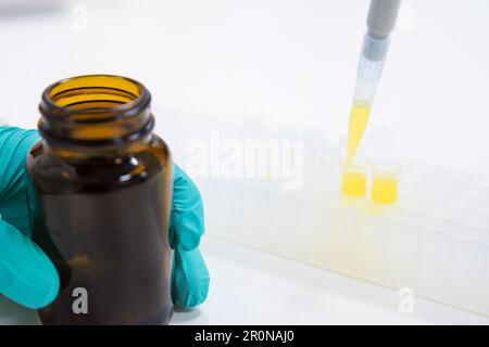 Labormitarbeiter gießt flüssige Proben mit Pipettenspender in Glasröhrchen. Wissenschaftler führt chemische Tests mit Glasgeräten durch Stockfoto