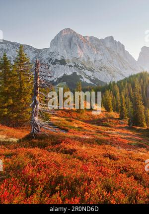 Blick von Lahngangkogel, Kalbling, Sparafeld, Reichenstein, Ennstal Alps, Steiermark, Österreich Stockfoto