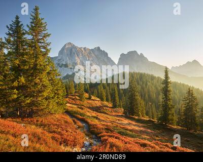 Blick von Lahngangkogel, Kalbling, Sparafeld, Reichenstein, Ennstal Alps, Steiermark, Österreich Stockfoto