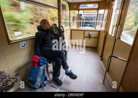 Herbsttour auf dem Malerweg in Elbsandstein Stockfoto