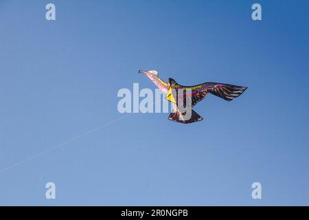 adlerdrachen im Himmel. Ein Adlerdrachen gleitet gegen den Wind im Himmel. Stockfoto