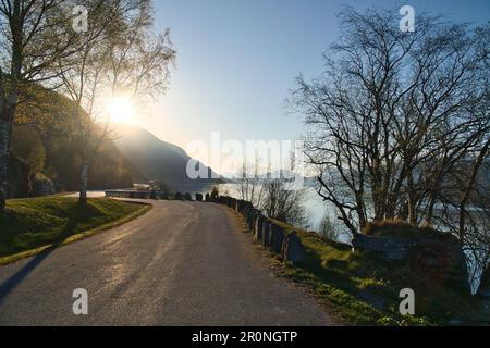 Parkplatz mit Blick auf die Straße, den Nordfjord und Bergen in Norwegen. Sonnenstrahlen fallen durch die Bäume. Landschaftsaufnahmen aus Skandinavien Stockfoto