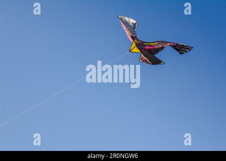 adlerdrachen im Himmel. Ein Adlerdrachen gleitet gegen den Wind im Himmel. Stockfoto