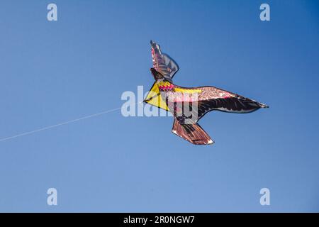 adlerdrachen im Himmel. Ein Adlerdrachen gleitet gegen den Wind im Himmel. Stockfoto