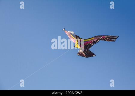 adlerdrachen im Himmel. Ein Adlerdrachen gleitet gegen den Wind im Himmel. Stockfoto