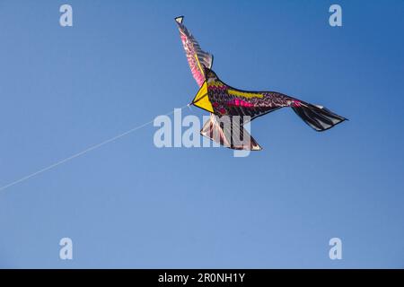 adlerdrachen im Himmel. Ein Adlerdrachen gleitet gegen den Wind im Himmel. Stockfoto