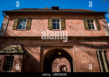 Der restaurierte Haupteingang zum Heidelberger Schloss, eines der wichtigsten Renaissancestrukturen nördlich der Alpen. Die Burg war nur ein Teil davon Stockfoto