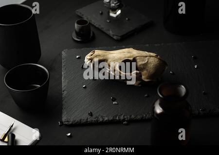 Dunkle Stimmung, Stillleben. Ein echter Fuchskopf, ein Kalligrafiestift, eine Aopthekarflasche, ein schwarzer Holztisch. Gotische Hexen-Launen-Hintergrund. Stockfoto