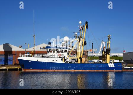 Den Helder, Niederlande. April 2023. Ein Fischtrawler im Hafen von Den Helder. Hochwertiges Foto Stockfoto