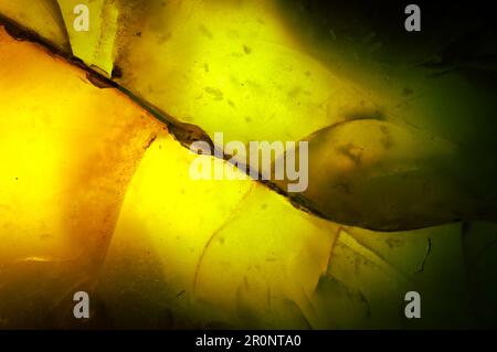 Opal (Opalisiertes versteinertes Holz (versteinertes Opal)) Gelb-orange-grün Makro-Detailtexturhintergrund. Nahaufnahme polierter halbwertvoller Edelstein. Stockfoto