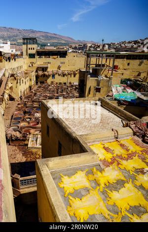 Chouara Gerberei, Fez, marokko, afrika Stockfoto