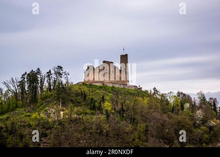 Schloss Windeck, erbaut um 1100, Weinheim, Baden-Württemberg, Deutschland Stockfoto