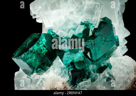 Dioptase-Kristall auf weißem Calzit auf schwarzem Bakkgrund. Makrodetail isoliert. Nahaufnahme rauer roher, unpolierter Halbedelstein. Stockfoto