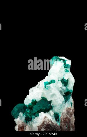 Dioptase-Kristall auf weißem Calzit auf schwarzem Bakkgrund. Makrodetail isoliert. Nahaufnahme rauer roher, unpolierter Halbedelstein. Stockfoto