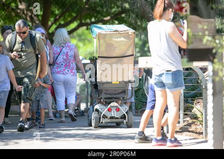 San Diego, Kalifornien, Vereinigte Staaten - 09-23-2021: Ein Blick auf einen Gast, der einen elektrischen Rollstuhlverleih benutzt, gesehen im San Diego Zoo. Stockfoto
