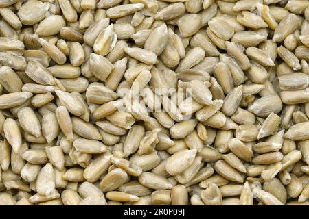 Nahaufnahme der Sonnenblumenkerne. Hintergrund. Stockfoto
