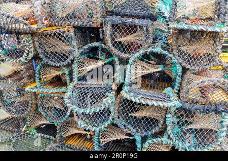 Hummerfallen oder Hummertöpfe am Kai im Ballywalter County Down Stockfoto