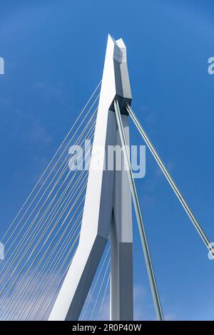 Rotterdam, Niederlande – Februar 2023; Vertikale Sicht auf den Gipfel der Erasmus-Hängebrücke über den Maas mit den Seilen gegen einen Peitschen Stockfoto