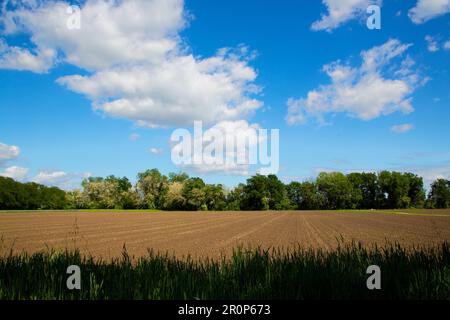 Ländliche Landschaft des Po-Tals mit Kulturfeldern Stockfoto