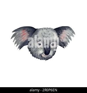 Aquarell-Darstellungskopf eines Koalas, isoliert auf Weiß gezeichnet. Tropisches Tier Stockfoto