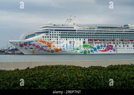 MIAMI BEACH, FL, -17. FEBRUAR 2023 - View of the Norwegian Pearl, ein Kreuzfahrtschiff, das von Norwegian Cruise Lines (NCL) in Port Miami in Florida, den Larges, betrieben wird Stockfoto