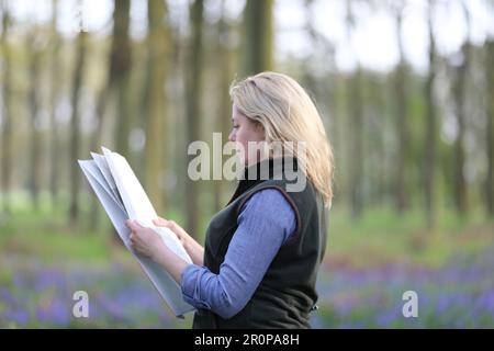 Eine Frau, die in einem Bluebell-Holz steht und eine Karte hält Stockfoto