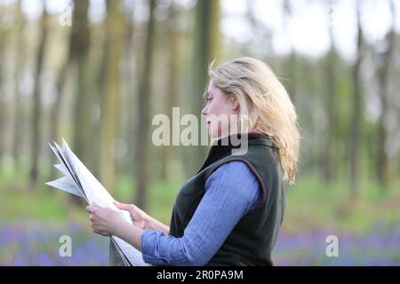 Eine Frau, die in einem Bluebell-Holz steht und eine Karte hält Stockfoto