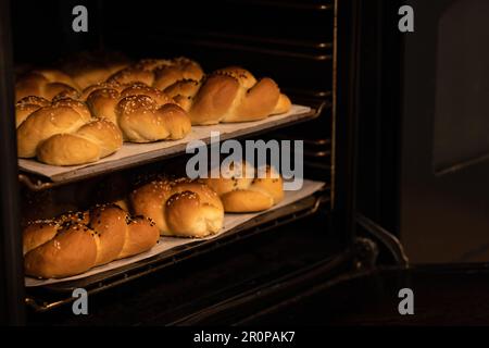 Hausgemachte Brötchen auf Backpfannen im Ofen Stockfoto