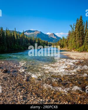 Der Cottonwood River, einem Nebenfluss des Dease RIver, entlang der Stewart-Cassiar Highway im Nordwesten von British Columbia Stockfoto