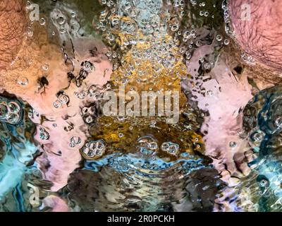 Die Füße des jungen Mannes in einen Wassertank getaucht, in dem Fische namens „Garra Rufa“ die toten Hautzellen der Füße reinigen und peelen und ihm eine Massage geben. Stockfoto