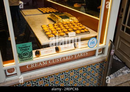 Creme Custard Torten in einem Bäckerladen im Zentrum von Sintra Stockfoto