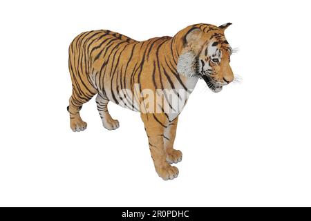 3D, der ein realistisches Tigertier darstellt Stockfoto