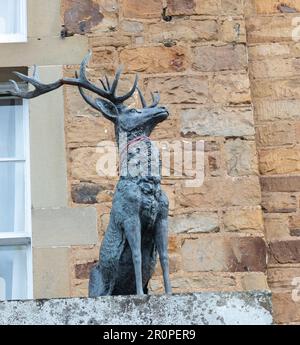 Statue of Stag, The Speech House Hotel, Forest of Dean, Gloucestershire. Stockfoto