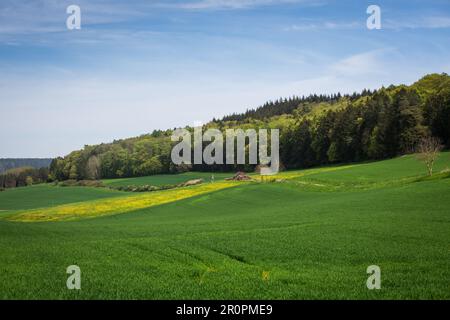 Altmühltal, Mittelfranken, Bayern - idyllische Landschaft an einem sonnigen Frühlingstag Stockfoto