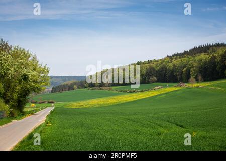 Altmühltal, Mittelfranken, Bayern - idyllische Landschaft an einem sonnigen Frühlingstag Stockfoto