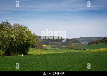 Altmühltal, Mittelfranken, Bayern - idyllische Landschaft an einem sonnigen Frühlingstag Stockfoto