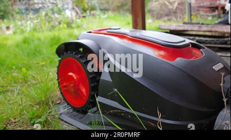 Schwarz-roter Mähroboter wird geladen. Es darf diesen Monat nicht funktionieren, weil es kein Mähen Mai ist. Faule Gartenarbeit Stockfoto