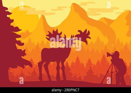 Ein Fotograf fotografiert Hirsche in der Natur der Tierwelt. Vektor Stock Vektor